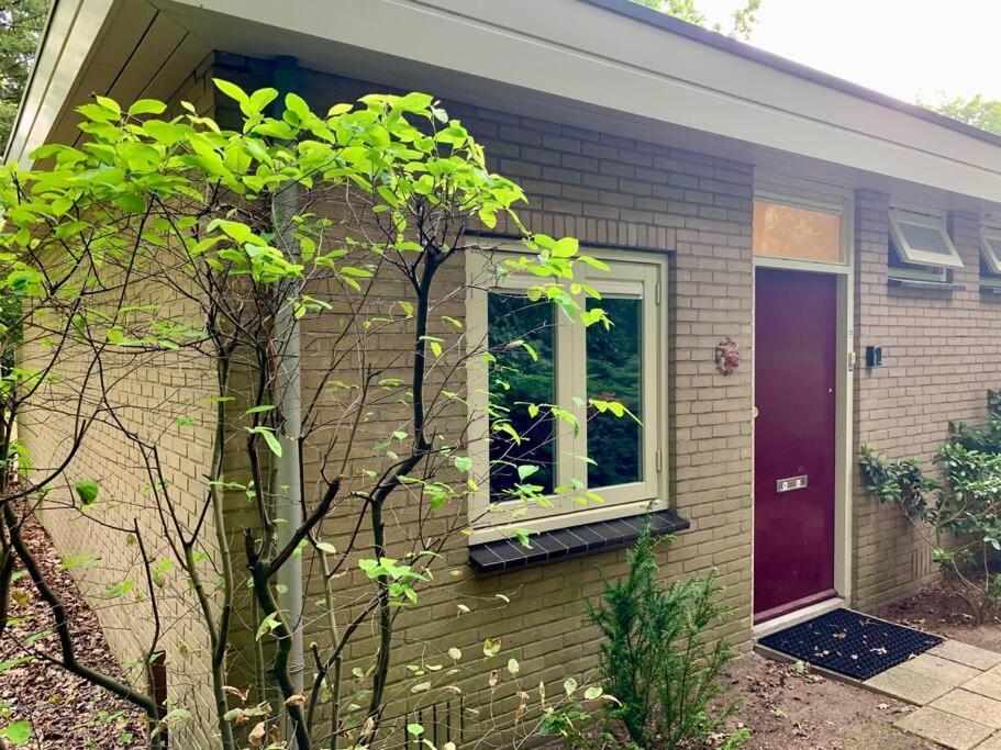 Sluwe Vos: Ontspannen In Het Bos! Otterlo Exterior photo