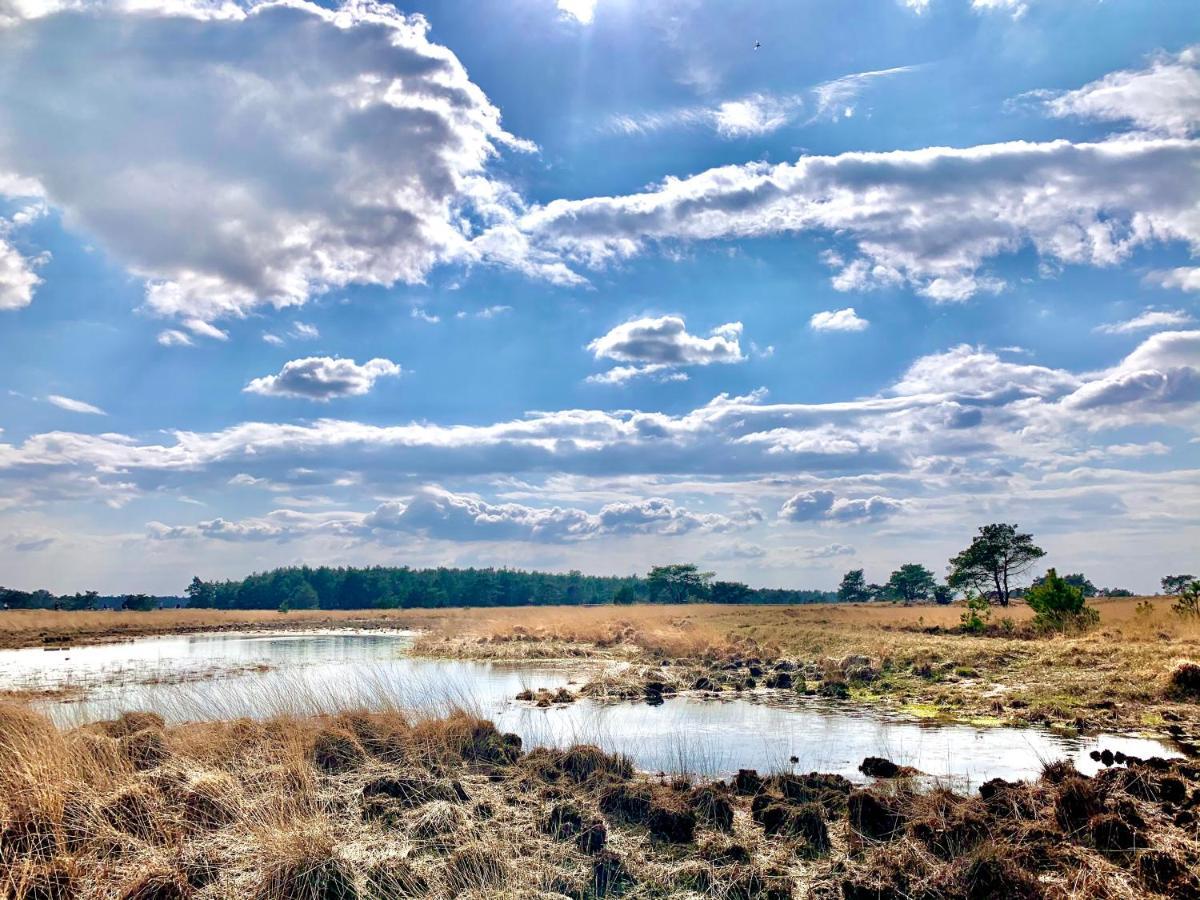 Sluwe Vos: Ontspannen In Het Bos! Otterlo Exterior photo